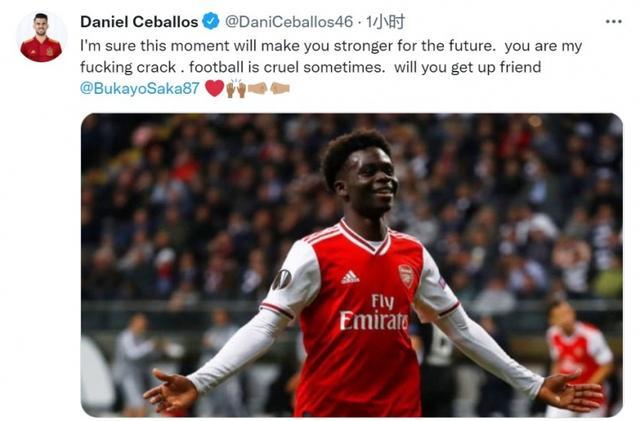 体育领域的 体育领域的